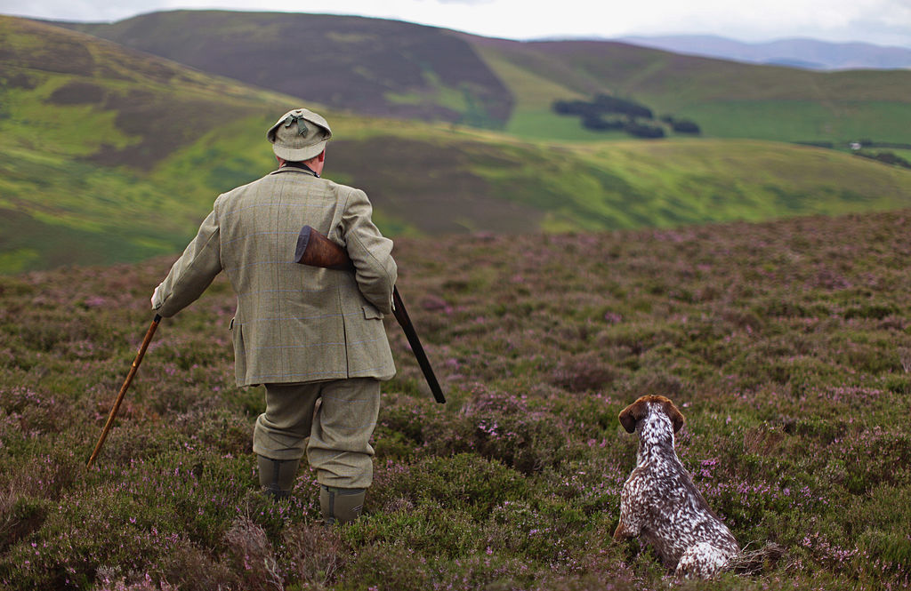 Barry Hines’s The Gamekeeper Is a Novel About How Capitalism Steals Nature From Us